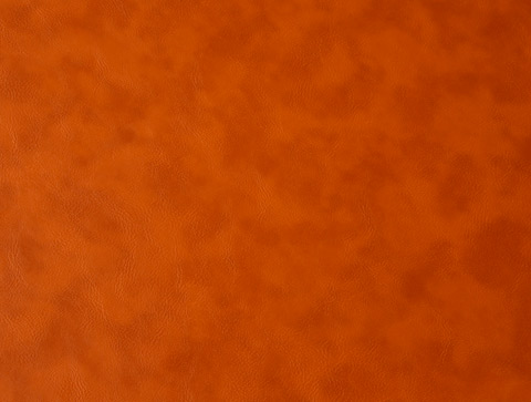 Printed PU Leather Fabric