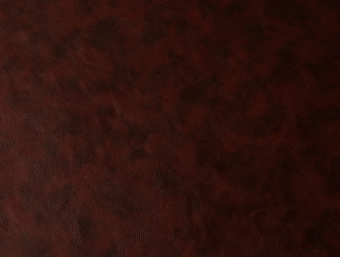 PU Coated Leather