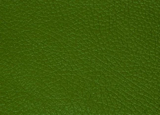 Green Faux Leather